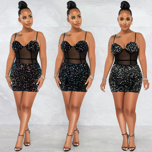 Stardust Mesh Sequin Mini Dress