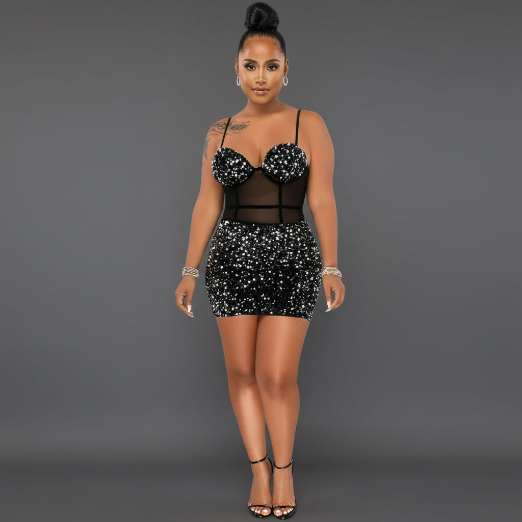 Stardust Mesh Sequin Mini Dress