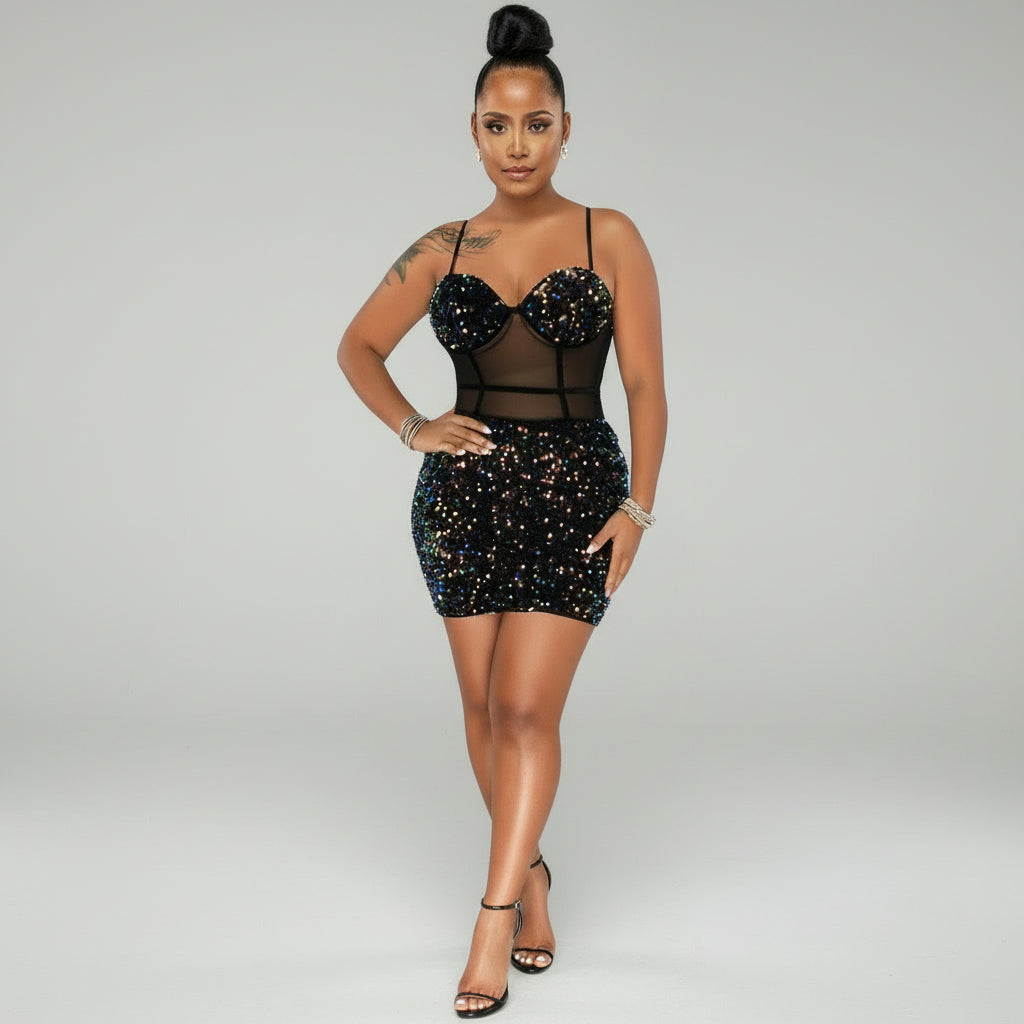 Stardust Mesh Sequin Mini Dress